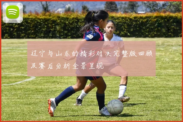 辽宁与山东的精彩对决完整版回顾及赛后分析全景呈现